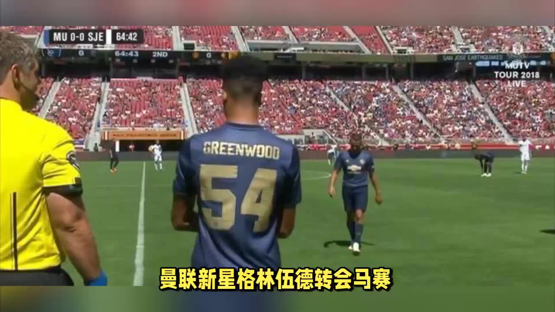 为沉浸式的