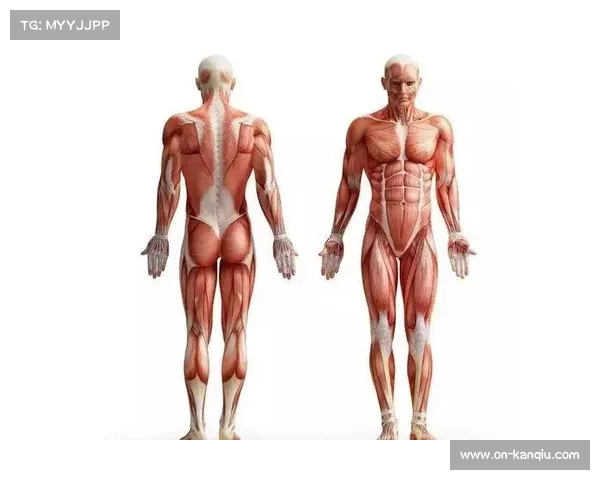 科学健身记录与持续进步的策略分享如何优化训练效果与健康管理